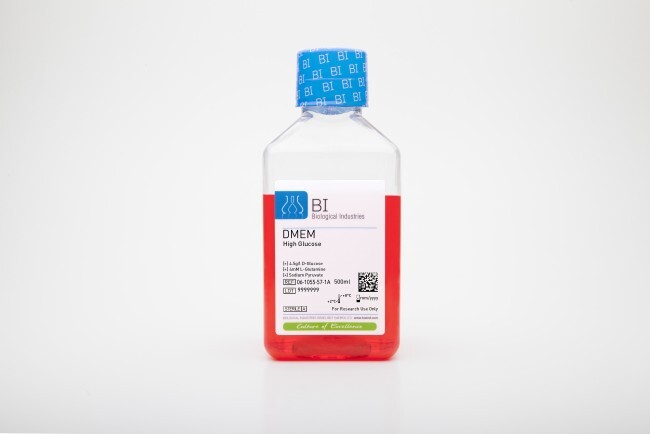 亚洲熟女乱色综合亚洲图片-97国产无遮挡A片又黄又爽小说-国产精品午夜无码体验区-亚洲a级在线观看-美丽人妇交换系列 | 嗜热脂肪芽孢杆菌的应用：消毒指示、过氧化氢灭菌与生物燃料电池