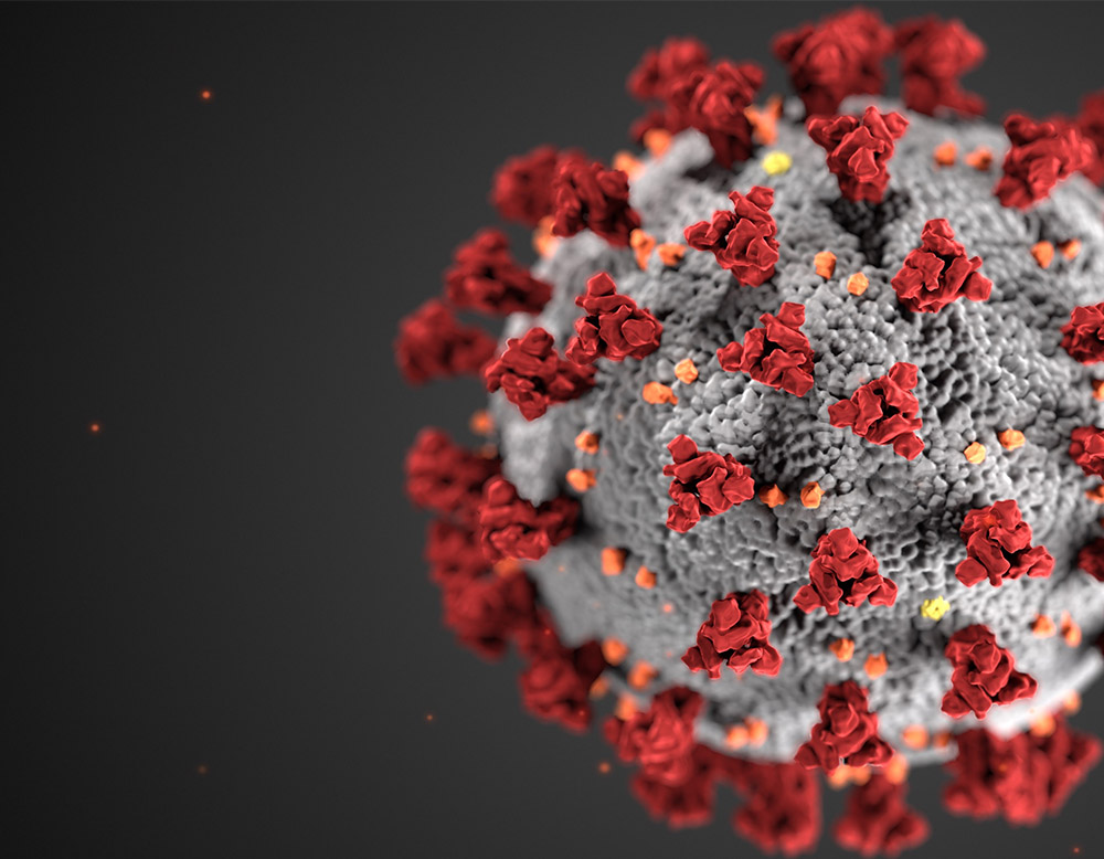 如果Covid-19疫情第二次爆发，我们应该如何保护自己和家