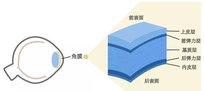 紫外线消毒灯对人体的伤害有哪些？小心患上“电光性眼炎”！